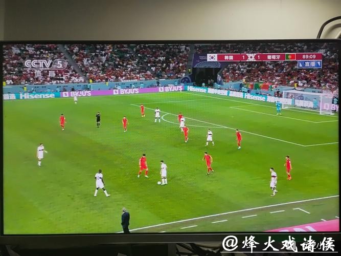 全景呈现：世界杯直播精彩瞬间